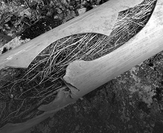 Blocked Drains Essendon